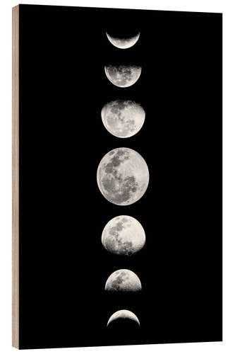 Obraz na drewnie Moon Phases