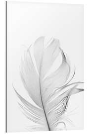 Magnettafel Weiße Feder