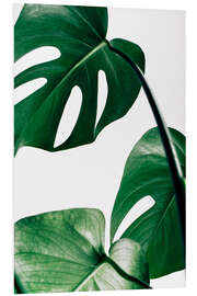 Tableau en PVC Monstera