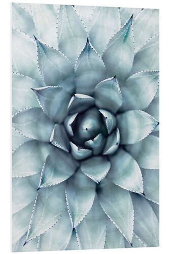 PVC-tavla Agave 01