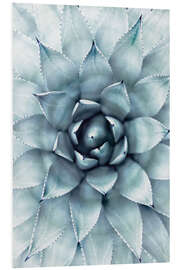 Tableau en PVC Agave 01