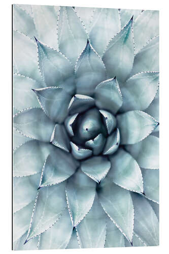 Galleritryck Agave 01