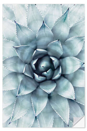 Wandsticker Agave 01