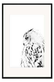 Gerahmter Kunstdruck Schneeeule