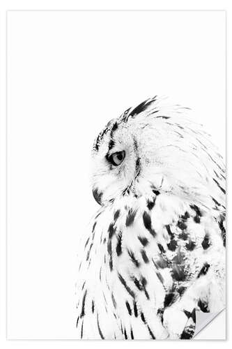 Wall sticker Snow owl