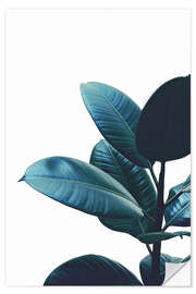 Wall sticker Rubber Plant Leaves