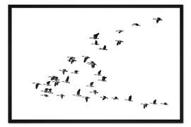 Gerahmter Kunstdruck Flug der Gänse