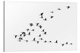 Magnettafel Flug der Gänse