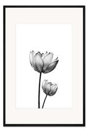 Gerahmter Kunstdruck Zwei Lotusblüten