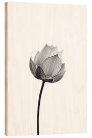 Wood print Lonely Lotus