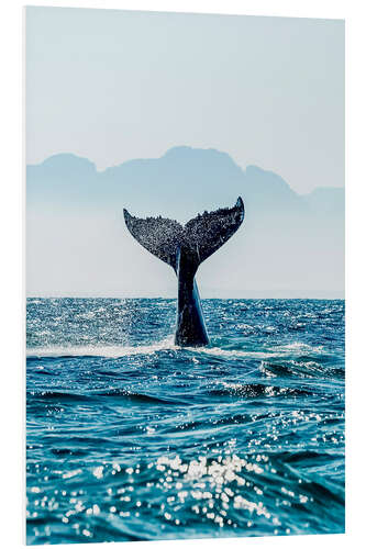 Foam board print Whale Tail - into the deep.