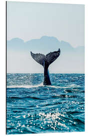 Magnettafel Walflosse