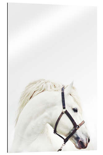 Gallery print White Horse