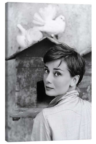 Leinwandbild Audrey Hepburn am Taubenschlag