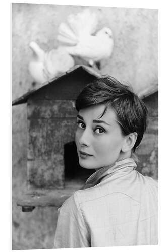 Obraz na PCV Audrey Hepburn at the dovecote