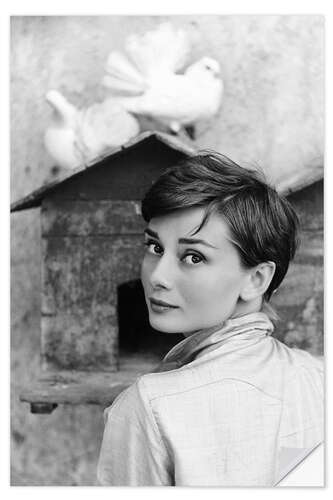Wall sticker Audrey Hepburn at the dovecote