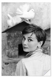 Sisustustarra Audrey Hepburn dovecotessa