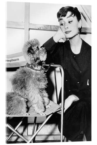 Acrylic print Audrey Hepburn with a puppy