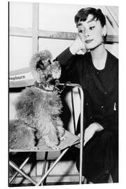 Alubild Audrey Hepburn mit Hündchen