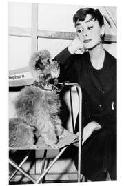 Stampa su PVC Audrey Hepburn con cagnolino