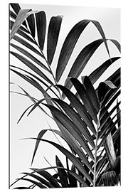 Gallery print Palm leaves II