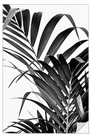 Naklejka na ścianę Palm leaves II