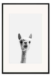 Gerahmter Kunstdruck Alpaka