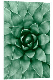 Foam board print Succulent pattern II