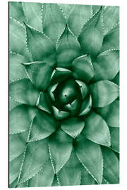 Magnettafel Sukkulenten-Mandala II