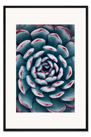 Gerahmter Kunstdruck Sukkulenten-Mandala I
