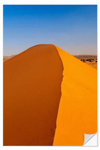 Selvklebende plakat Sanddyn i Sahara