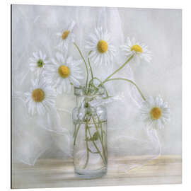 Aluminium print Daisies