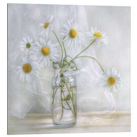 Gallery print Daisies