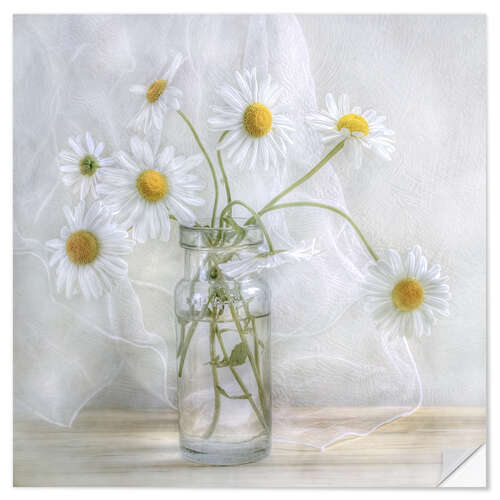 Wall sticker Daisies