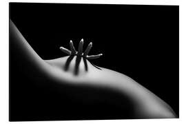 Magnettafel Weibliche Formen