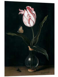 Foam board print The 'summer beautiful' tulip