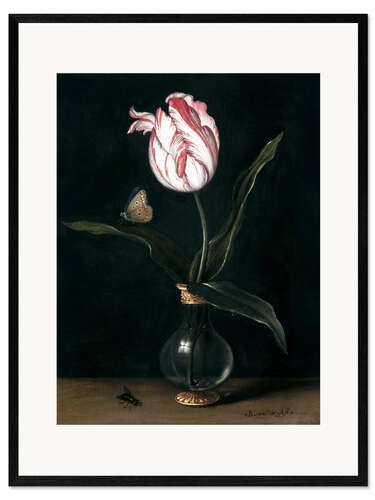 Framed art print The 'summer beautiful' tulip
