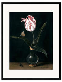 Ingelijste kunstdruk Tulp Zomerschoon - Balthasar van der Ast