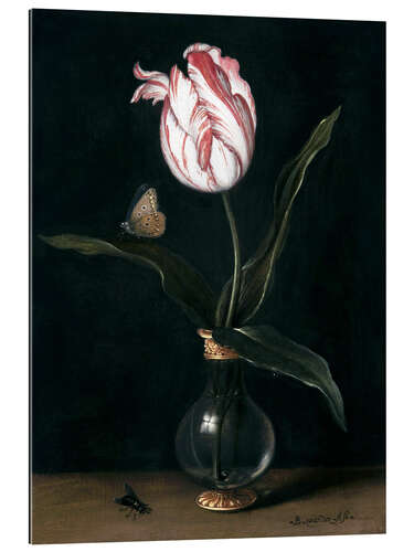 Gallery print Tulp Zomerschoon