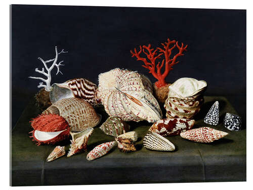 Acrylic print Still life with shells and corals