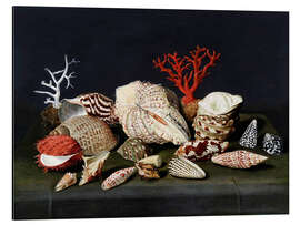 Magnettafel Stillleben mit Muscheln und Korallen