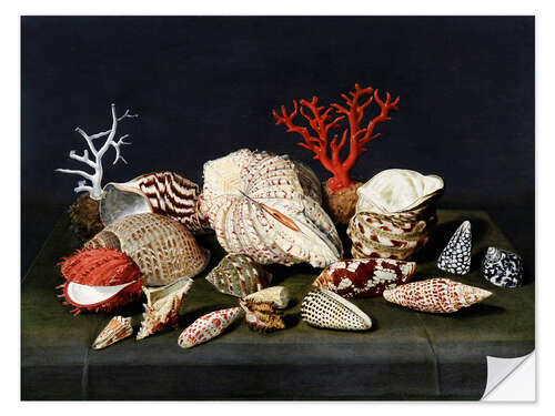 Wall sticker Still life with shells and corals