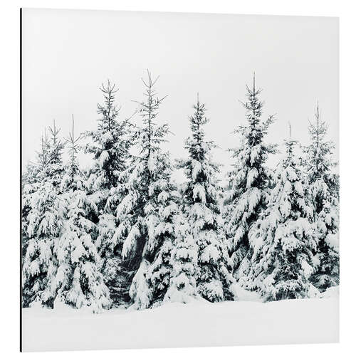 Tableau en aluminium Forêt d'hiver