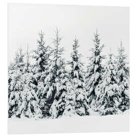 Foam board print Winter forest