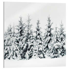 Gallery Print Winterwald