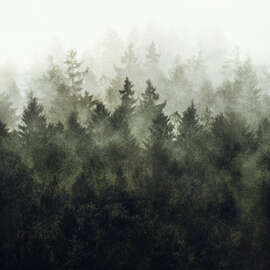 Magnettafel Grünes Herz