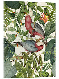 Tableau en verre acrylique  Oiseaux tropicaux - Andrea Haase