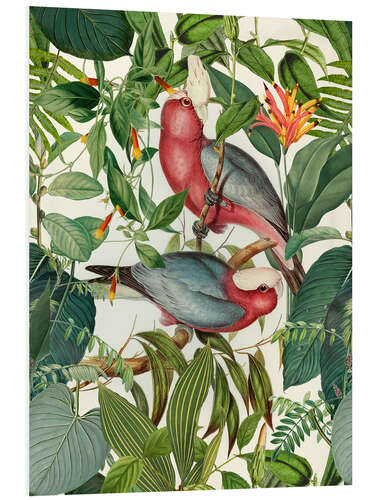 Foam board print Tropical Birds II