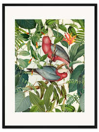 Gerahmter Kunstdruck Tropische Vögel II