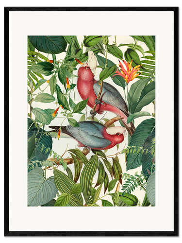 Impression artistique encadrée Oiseaux tropicaux II